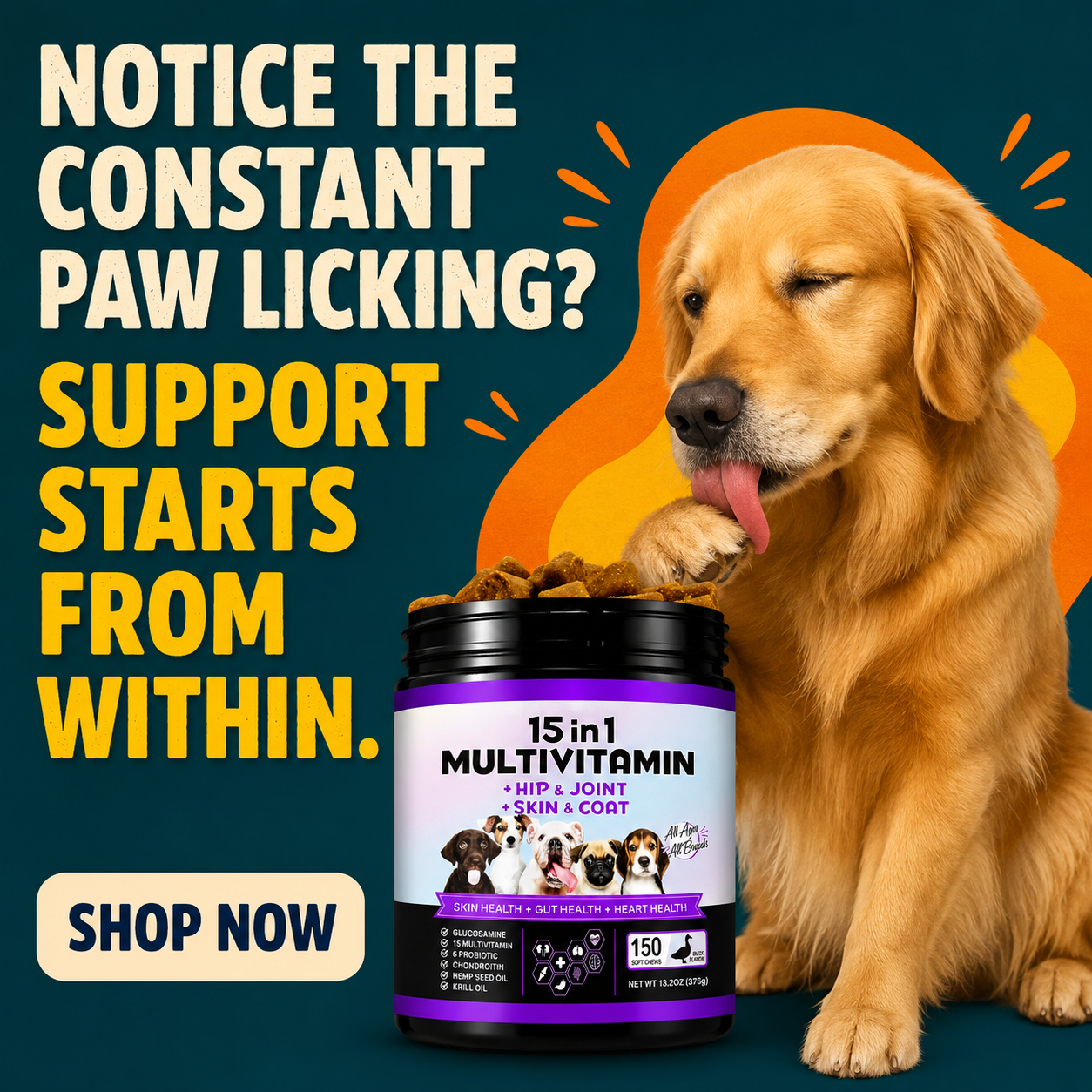15-in-1 Dog Multivitamin Soft Chews — Skin, Coat, Hip & Joint Support